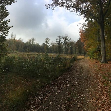 Villa Helena Linden Zewnętrze zdjęcie